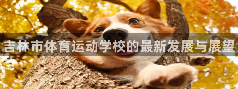 杏运主管
