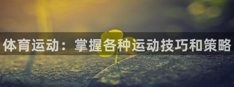 杏运主管