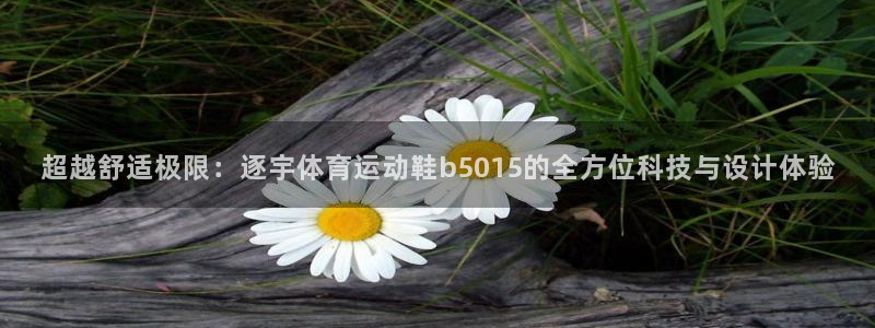 杏运平台总代理