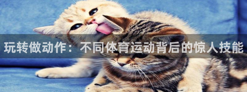 杏运主管