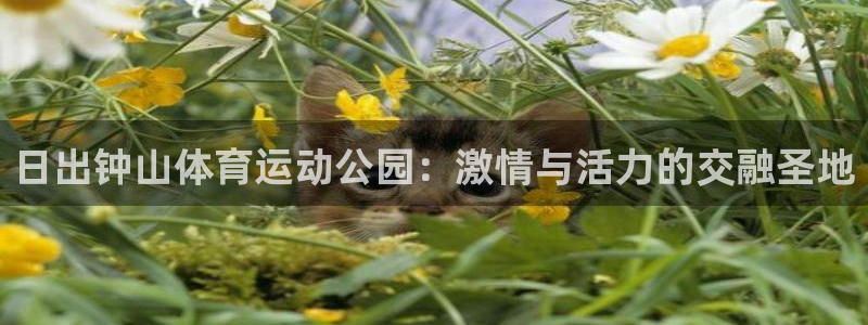 福建杏运机电股份公司