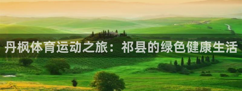杏运3代理
