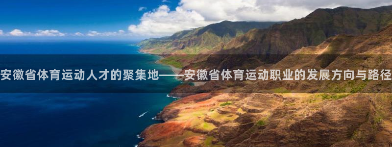 福建杏运机电股份公司