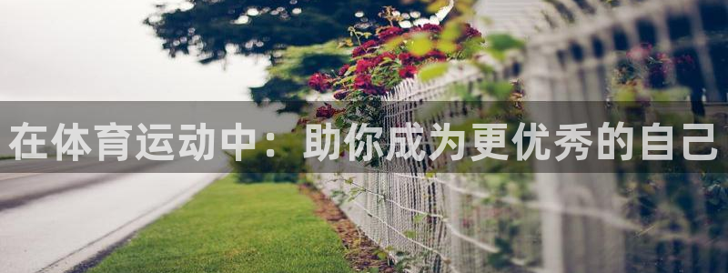 杏运vk