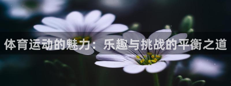 杏运主管