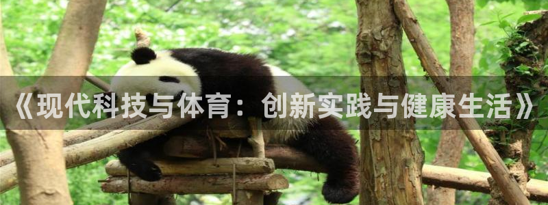 杏运体育凯捷平台代理