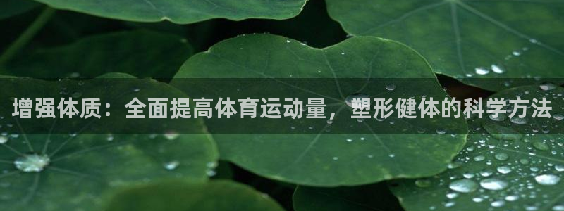 杏运体育2官网入口
