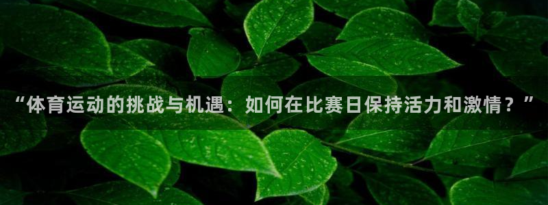 杏运2平台注册