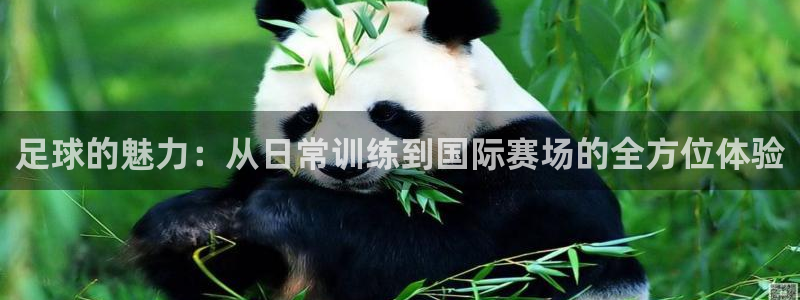 杏运当头