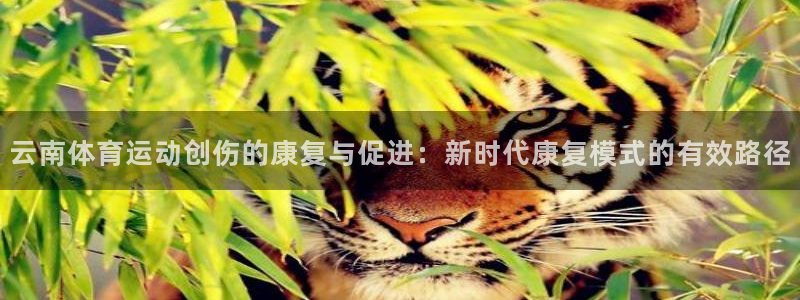 小杏运